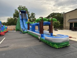 514395818 122205370514270983 3312574861489460438 n201 176391212 1 Shark Attack