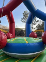 500513476 122198592044270983 7744497567863462035 n 1767287335 Wrecking Ball