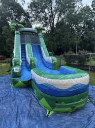 504472676 122201545616270983 6560883211655873804 n 1767287632 Tropical Plunger 12ft