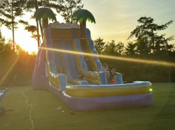 509298706 122203456556270983 1661105296526050708 n 1767287898 Tropical Blast 20ft