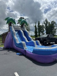 510610487 122203920104270983 1255710183949188567 n 1767287806 Tropical Paradise 17ft