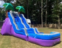 511289523 122203920086270983 6821811117399576332 n 1767287805 Tropical Paradise 17ft