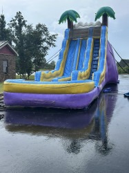 513940600 122204923832270983 6304751548316356396 n 1767287898 Tropical Blast 20ft