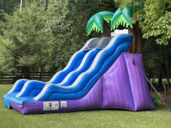 516097730 122209785932270983 6523254305820724863 n 1767287805 Tropical Paradise 17ft