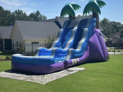 Tropical Paradise 17ft